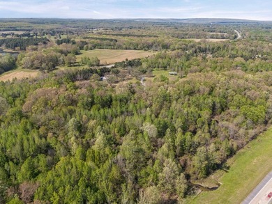 Are you dreaming about 29 acres of land outside of city limits - photo 37
