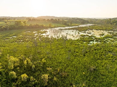 This 108 +/- acre property in Muskingum County, Ohio has so much - photo 41