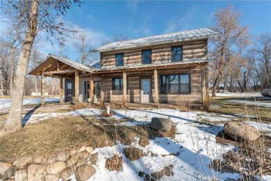 Lake Home For Sale in Otto Twp, Minnesota