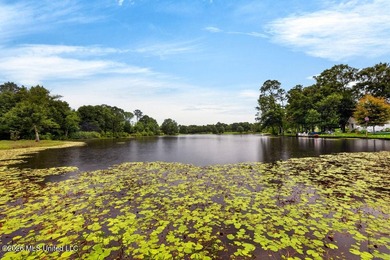 Stunning all-brick waterfront home on an expansive corner lot - photo 42
