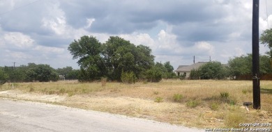 (private lake, pond, creek) Lot For Sale in Blanco Texas