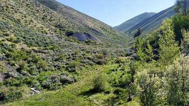 Sun Valley Legacy Estate & Development Masterpiece. Discover the - photo 13