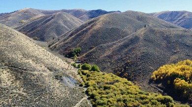 Sun Valley Legacy Estate & Development Masterpiece. Discover the - photo 26