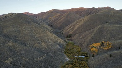 Sun Valley Legacy Estate & Development Masterpiece. Discover the - photo 28