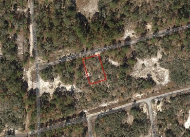 Owner Financing available on this Lake Placid building lot - photo 1