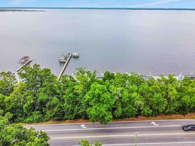 This is the waterfront dream home you've been waiting for, and - photo 50