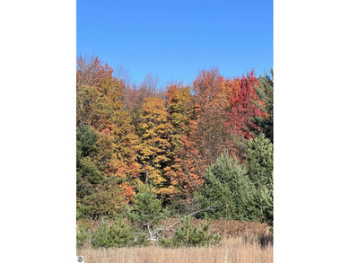 Price Lake Acreage For Sale in Kalkaska Michigan