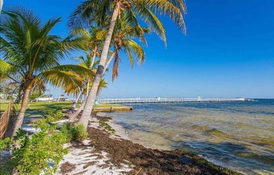 Island Life Starts Here! Newly Remodeled 1 Bedroom 1 Bathroom - photo 3