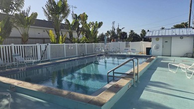 Island Life Starts Here! Newly Remodeled 1 Bedroom 1 Bathroom - photo 4