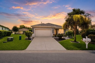 Welcome home to this immaculately maintained 2017-built - photo 1