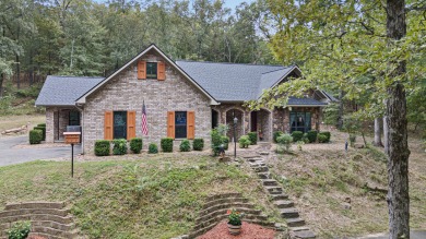 Lake Home For Sale in Dardanelle, Arkansas