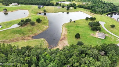 Lake front lots in a beautiful new Subdivision on Highway 63 - photo 14