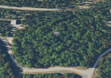 TO DO: Find Dream Property - Build Dream House - TASK COMPLETED! - photo 19