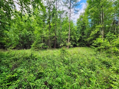 TO DO: Find Dream Property - Build Dream House - TASK COMPLETED! - photo 23