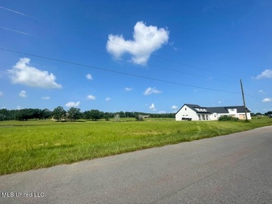 Lake front lots in a beautiful new Subdivision on Highway 63 - photo 35
