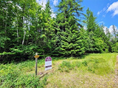 TO DO: Find Dream Property - Build Dream House - TASK COMPLETED! - photo 35