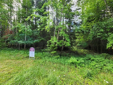 TO DO: Find Dream Property - Build Dream House - TASK COMPLETED! - photo 36