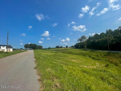 Lake front lots in a beautiful new Subdivision on Highway 63 - photo 38