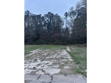 Lot 76 is a cleared lot ready for your future home. This - photo 1