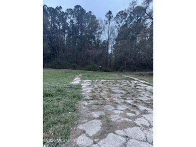 Lot 76 is a cleared lot ready for your future home. This - photo 2
