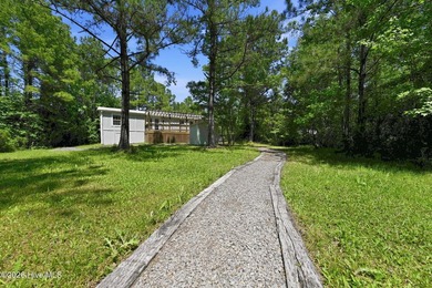 Better than new Modern Oasis on 1+ Acre in Hampstead & No HOA in - photo 46