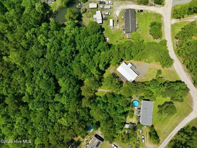 Better than new Modern Oasis on 1+ Acre in Hampstead & No HOA in - photo 52