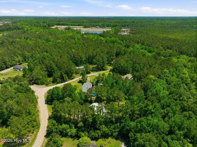 Better than new Modern Oasis on 1+ Acre in Hampstead & No HOA in - photo 53