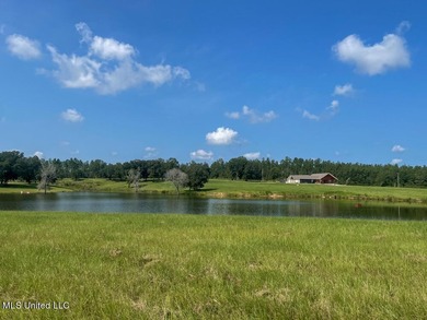 Lake front lots in a beautiful new Subdivision on Highway 63 - photo 53