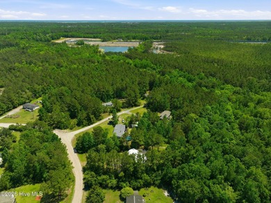 Better than new Modern Oasis on 1+ Acre in Hampstead & No HOA in - photo 54