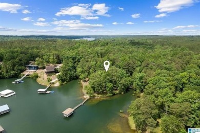 Lake Home For Sale in Arley, Alabama