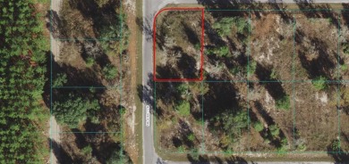 Silver Lake - Marion County Lot For Sale in Ocklawaha Florida