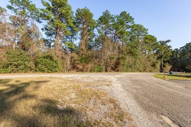 UNRESTRICTED Rayburn Country Area. That's right you read it - photo 11