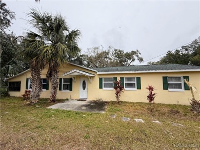 Lake Home For Sale in Floral City, Florida