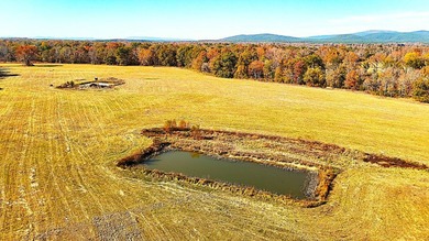 Here is a hidden gem in the heart of Southeast Oklahoma - 28 - photo 14