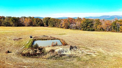 Here is a hidden gem in the heart of Southeast Oklahoma - 28 - photo 15
