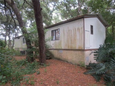 Crystal Lake - Marion County Home Sale Pending in Ocklawaha Florida