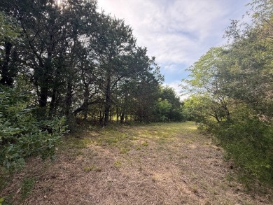 Off Water Lot! No HOA, Minimum Restrictions at RC Lake! - photo 29