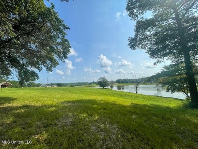 Lake front lots in a beautiful new Subdivision on Highway 63 - photo 23