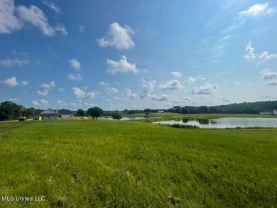 Lake front lots in a beautiful new Subdivision on Highway 63 - photo 29
