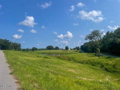 Lake front lots in a beautiful new Subdivision on Highway 63 - photo 37