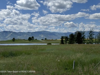 (private lake, pond, creek) Lot For Sale in Victor Idaho