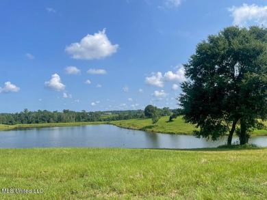 Lake front lots in a beautiful new Subdivision on Highway 63 - photo 44
