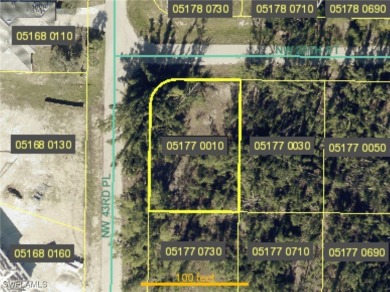 Lake Lot For Sale in Cape Coral, Florida