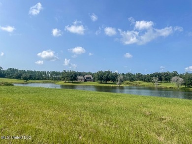 Lake front lots in a beautiful new Subdivision on Highway 63 - photo 54