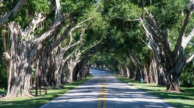 Set along the palm-lined stretch of Bridge Road, less than a - photo 7