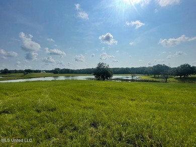 Lake front lots in a beautiful new Subdivision on Highway 63 - photo 25