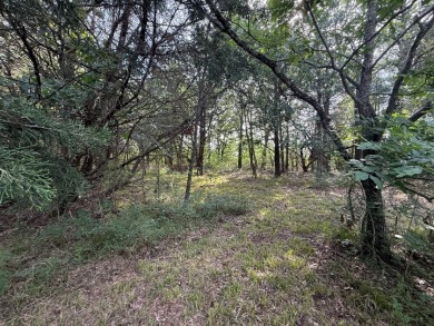 Off Water Lot! No HOA, Minimum Restrictions at RC Lake! - photo 22