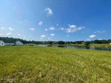 Lake front lots in a beautiful new Subdivision on Highway 63 - photo 51
