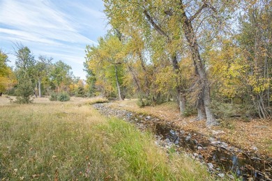 (private lake, pond, creek) Acreage For Sale in Stevensville Montana