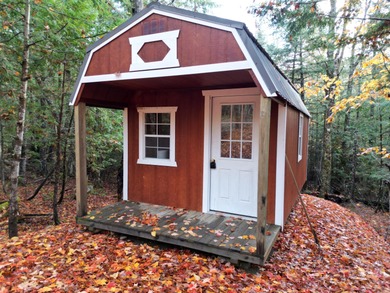 Lake Home For Sale in Lee, Maine